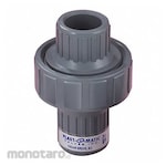 PLAST-O-MATIC Check Valve