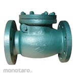 SHOWA (Valve) Cast Iron Swing Check PN 16 FF