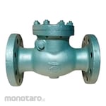 SHOWA (Valve) Cast Iron Swing Check Valve PN25 Flanged