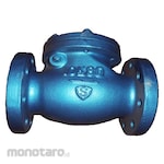 SHOWA (Valve) Swing Check Valve CAC406 Class 10K Flange Type (Katup)
