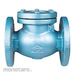 TOYO VALVE Swing check valve PN16 Cast iron