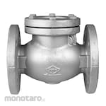 TOYO VALVE Swing check valve PN25 Cast iron