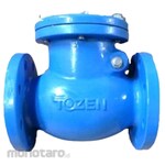 Tozen Swing Check Valve Cast Iron Body Bronze Trim Flange End Drilled PN16