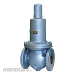 VENN Differential Pressure Adjustment Valve [0.05-0.35Mpa, Sealed Circuit Differential Pressure Adjustment, For Water]