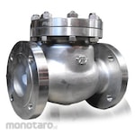 VTV Valve Swing Check Valve ANSI 150