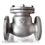 VTV Valve Swing Check Valve ANSI 150Rf