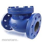 VTV Valve Swing Check Valve JIS 10K