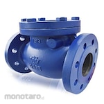 VTV Valve Swing Check Valve PN 16