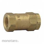 WATTS Check Valve