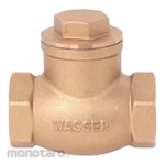 Wasser Swing Check Valve