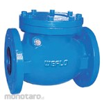 Weflo Swing Check Valve Bronze Disc