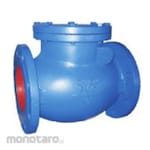 Weflo Swing Check Valve