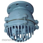 ARITA Foot Valve Connection