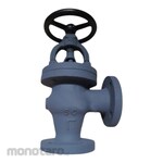 Braco Angle Valve Cast Steel F7320 -JIS 10K