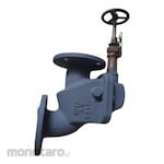 Braco Cast Steel Angle Storm Valve F3060R