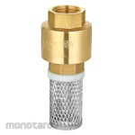 Double Lin Foot Valve Brass