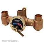 LEONARD VALVE Mixing Valve
