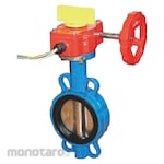 MDT Branch Control Valve (Tamper Switch)