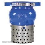 MDT Foot Valve with Screen