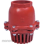 Osaka Pipe Fitting & Valve All cast iron spring type foot valve Tip foot screw type