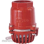 Osaka Pipe Fitting & Valve Cast iron main part stainless steel foot valve Tip foot screw type with lever