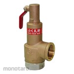 VENN Fukutaro Bronze/SCS Safety Relief Valve 0.05-0.1Mpa/with Lever
