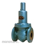 VENN RD14W-BL FC Pressure Reducing Valve [0.05-0.35, Flange]