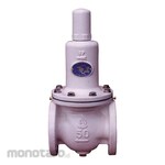 VENN Regulator RD-14CN Type (for Water, Hot Water, Air, Oil) (Nylon Coating)