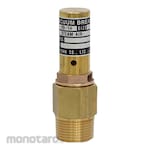 VENN Vacuum Adjustment Valve C3604 Or CAC for Steam/Air