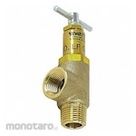 WATTS Pressure Relief Valve