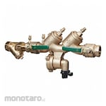 WATTS Reduced Pressure Zone Assembly