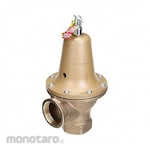 WATTS Temperature and Pressure Relief Valve