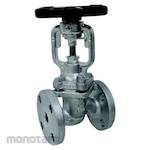 Yoshitake Ductile Bellows Seal Valve 125A