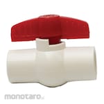 BESTGUARD Pvc Ball Valve Threaded