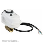 BONOMI Electrically Actuated Ball Valve