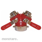 DIXON VALVE COUPLING Manual Ball Valve
