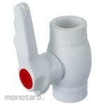 IFAN Ball Valve PPR