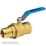 Kitz 600 Type Ball Valve (Full Bore, Taper Male Thread X Taper Female Screw) (ZO Series)