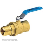 Kitz 600 Type Ball Valve (Full Bore, Taper Male Thread X Taper Female Screw) (ZO Series)
