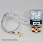Kitz Small Motorized Electric Three-Way Ball Valve (Reduce Toba)