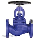 MDT Globe Valve