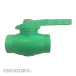 RIIFO 203 Plastic PPR Brass Ball Valve