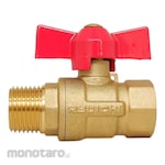 RYUICHI Ball Valve M/F