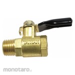 WESTWARD Ball Valve Drain (Katup Bola)