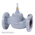 HONEYWELL 2-Way Application Water Flange PN16