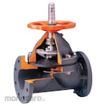 SH Taiwan Diaphragm Valve Flange End
