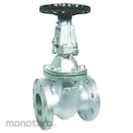 ARITA Ductile Gate Valve Flange JIS 16K