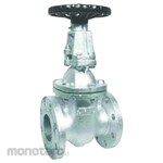 ARITA Ductile Gate Valve Flange JIS 20K