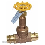 Apollo Gate Valve