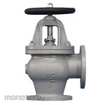 Braco Angle Valve Cast Steel F7312 -JIS 5K